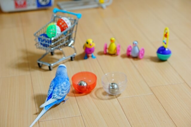 インコの遊び道具と遊び方！インコが喜ぶおもちゃを鳥の性格で選ぶ話 オレンジログ