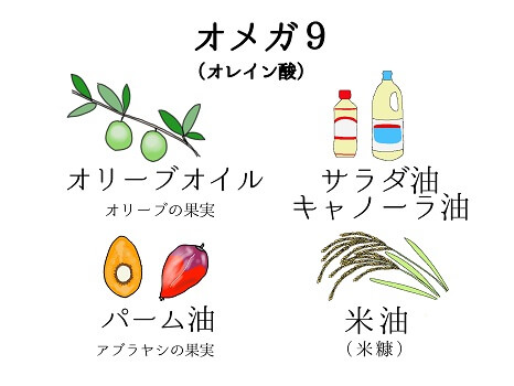 エミューオイルの成分