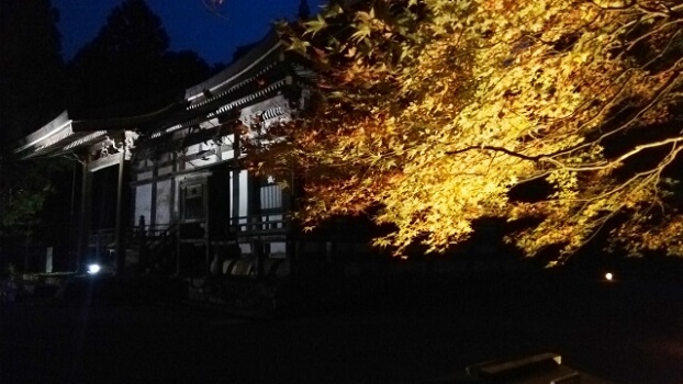 墓じまいのお寺との交渉