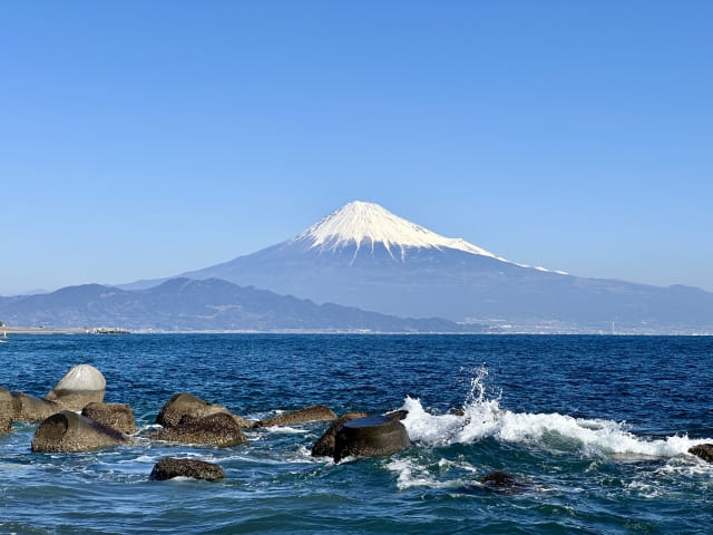 静岡の海洋散骨