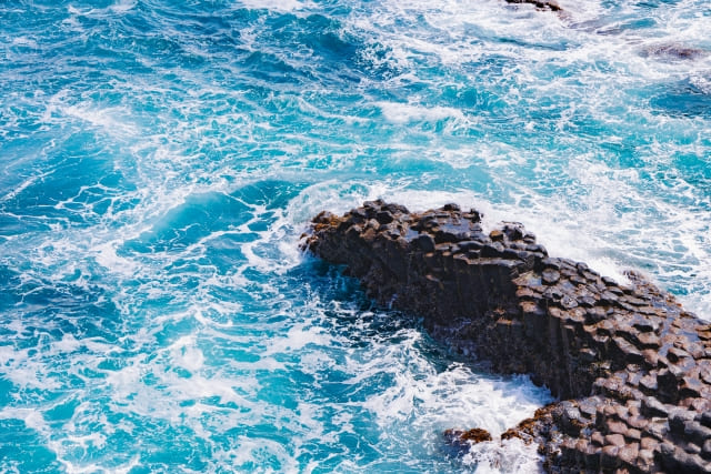 福岡の海洋散骨