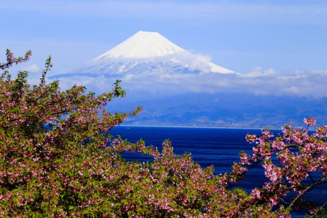 静岡の海洋散骨