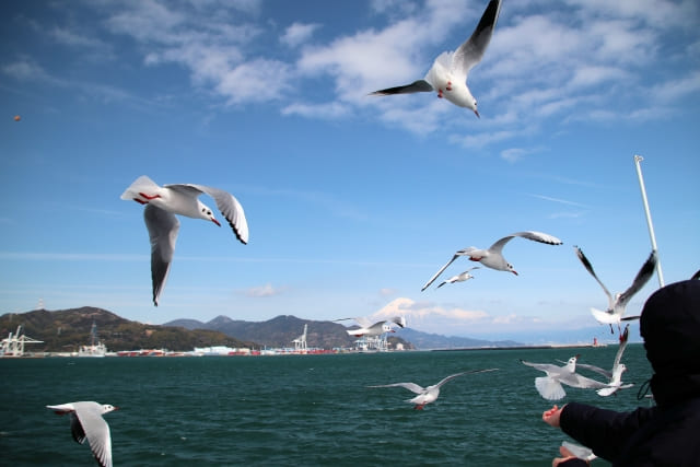 静岡の海洋散骨