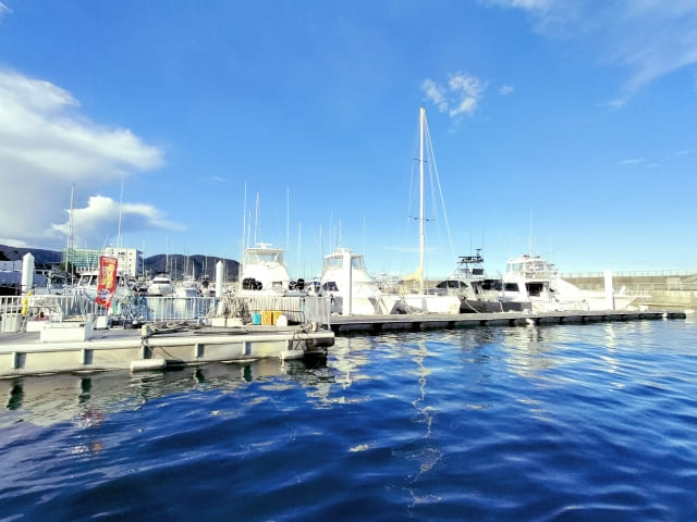 伊東市の海洋散骨ガイドライン