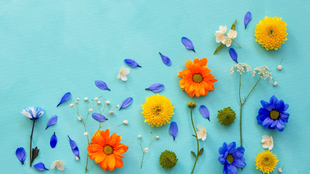 グリーン（レビ・移動済み）